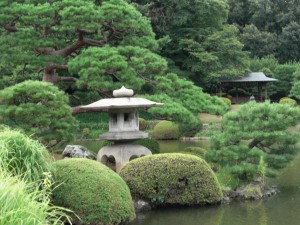 японский сад