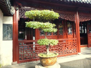 китайский сад
