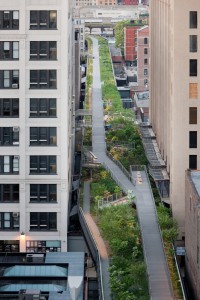 висячий парк High Line