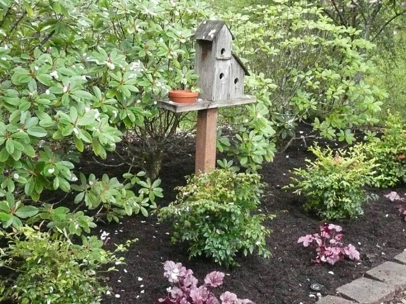 сад для птиц