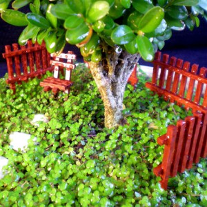 миниатюрный сад